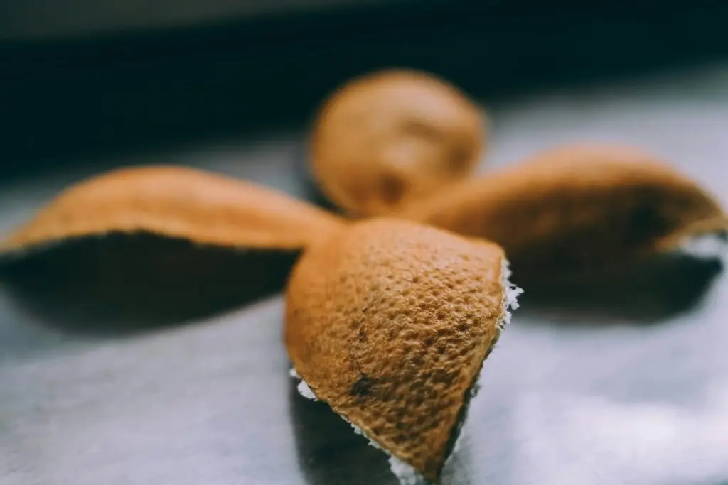 Canistrelli à la clémentine – recette Lyon Food Lovers