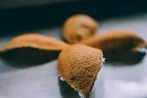 Canistrelli à la clémentine – recette Lyon Food Lovers