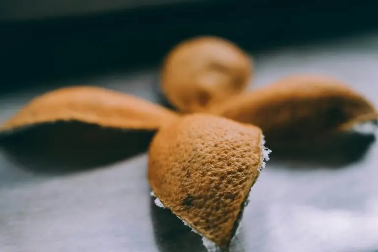 Canistrelli à la clémentine – recette Lyon Food Lovers