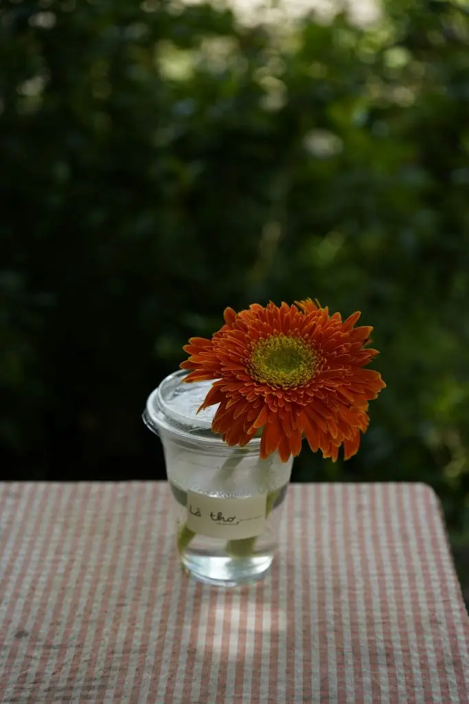 Yaourt à la fleur d’oranger – recette Lyon Food Lovers