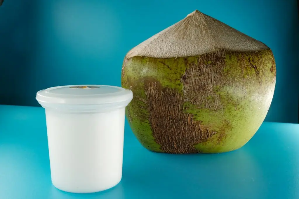 Yaourt à la noix de coco – recette Lyon Food Lovers